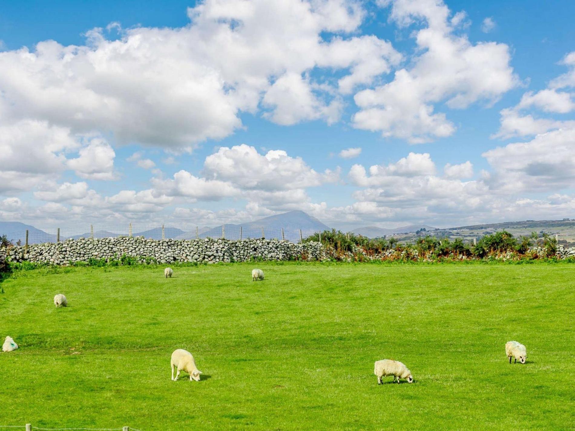 1 Bed In Barmouth 89395 Villa Dyffryn Ardudwy Buitenkant foto